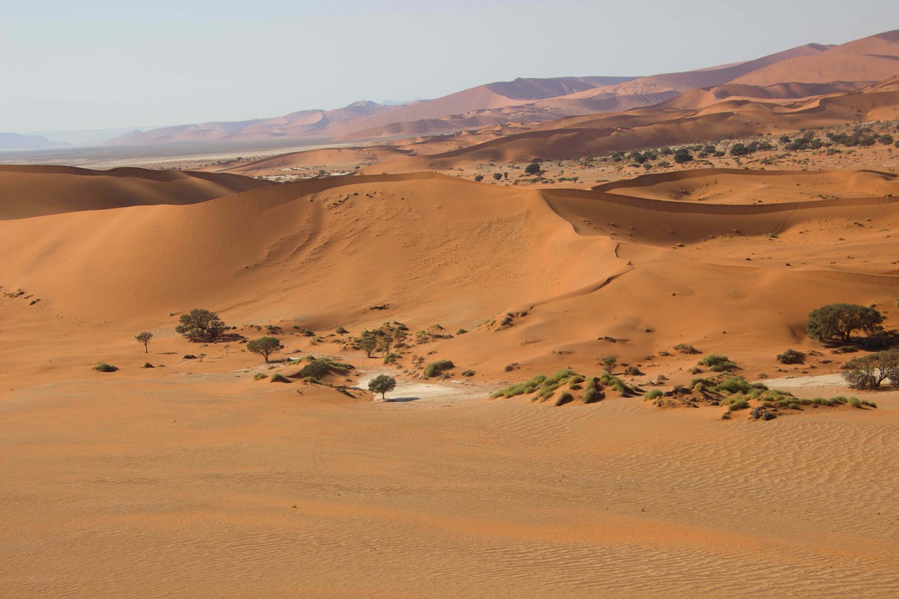 African Desert