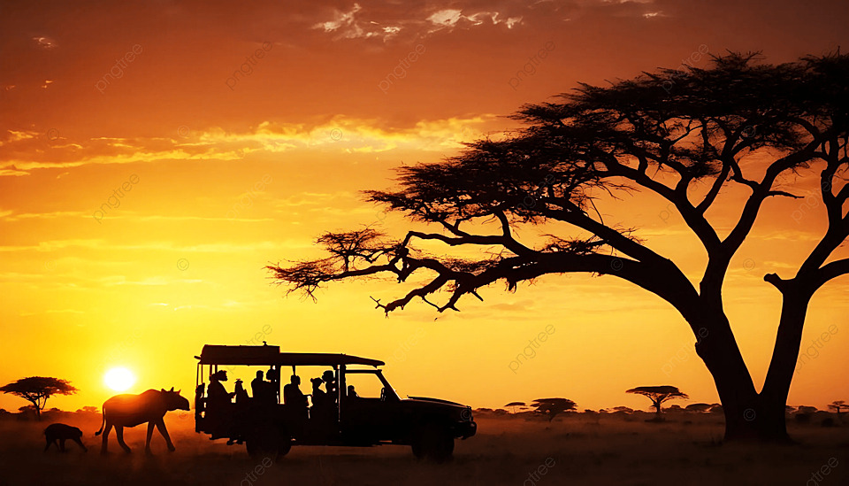 Safari in Africa